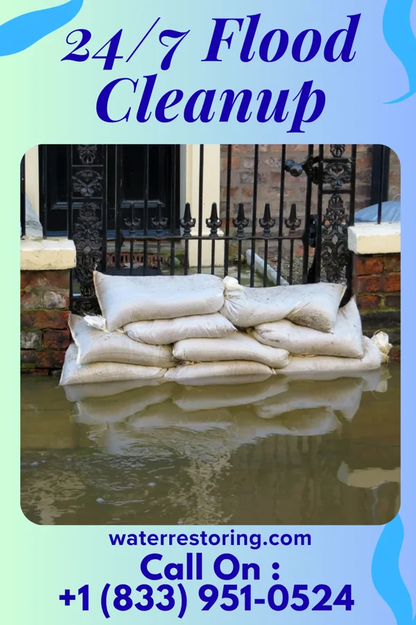 24/7 Flood Cleanup in Grove City, MN