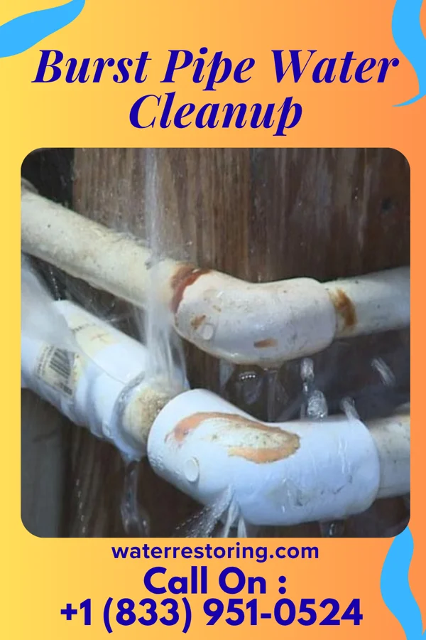 Burst Pipe Water Cleanup in Grove City, MN