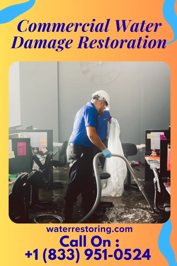 Commercial Water Damage Restoration in Grove City, MN