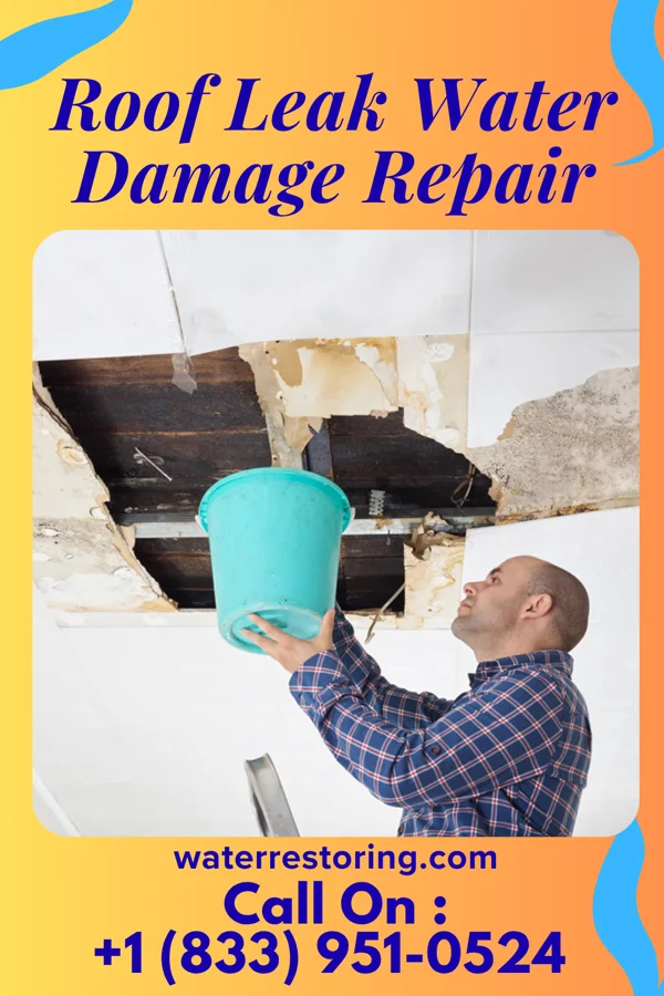 Roof Leak Water Damage Repair in Grove City, MN
